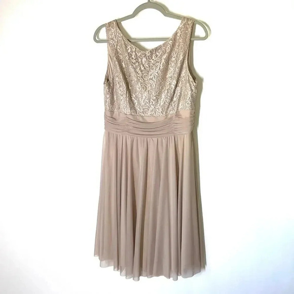 Jessica Howard Evenings Champagne Chiffon and Lace Formal Dress Size 14 - Picture 1 of 11